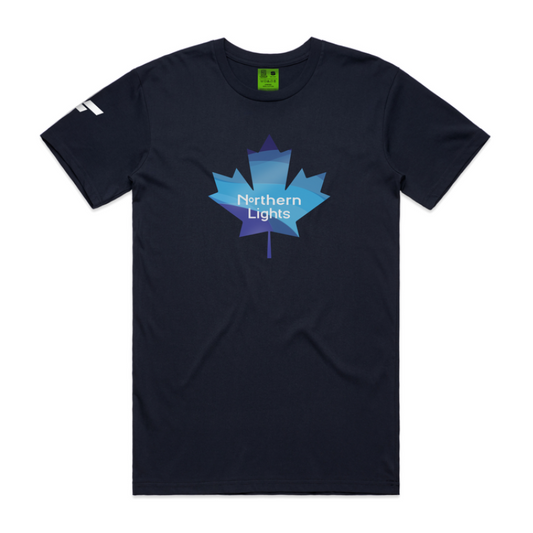 Northern Lights 2024 Men's Tee